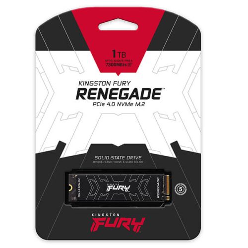 Kingston FURY Renegade 1TB PCIe 4.0 NVMe M.2 SSD - Image 2