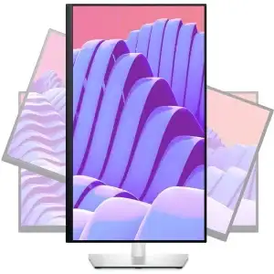 DELL 24 Monitor - P2422H