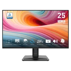 MSI PRO MP251 E2 24.5" IPS Resolution 1920 x 1080 (FHD) 120Hz 1ms HDMI D-Sub (VGA)  speakers-Black